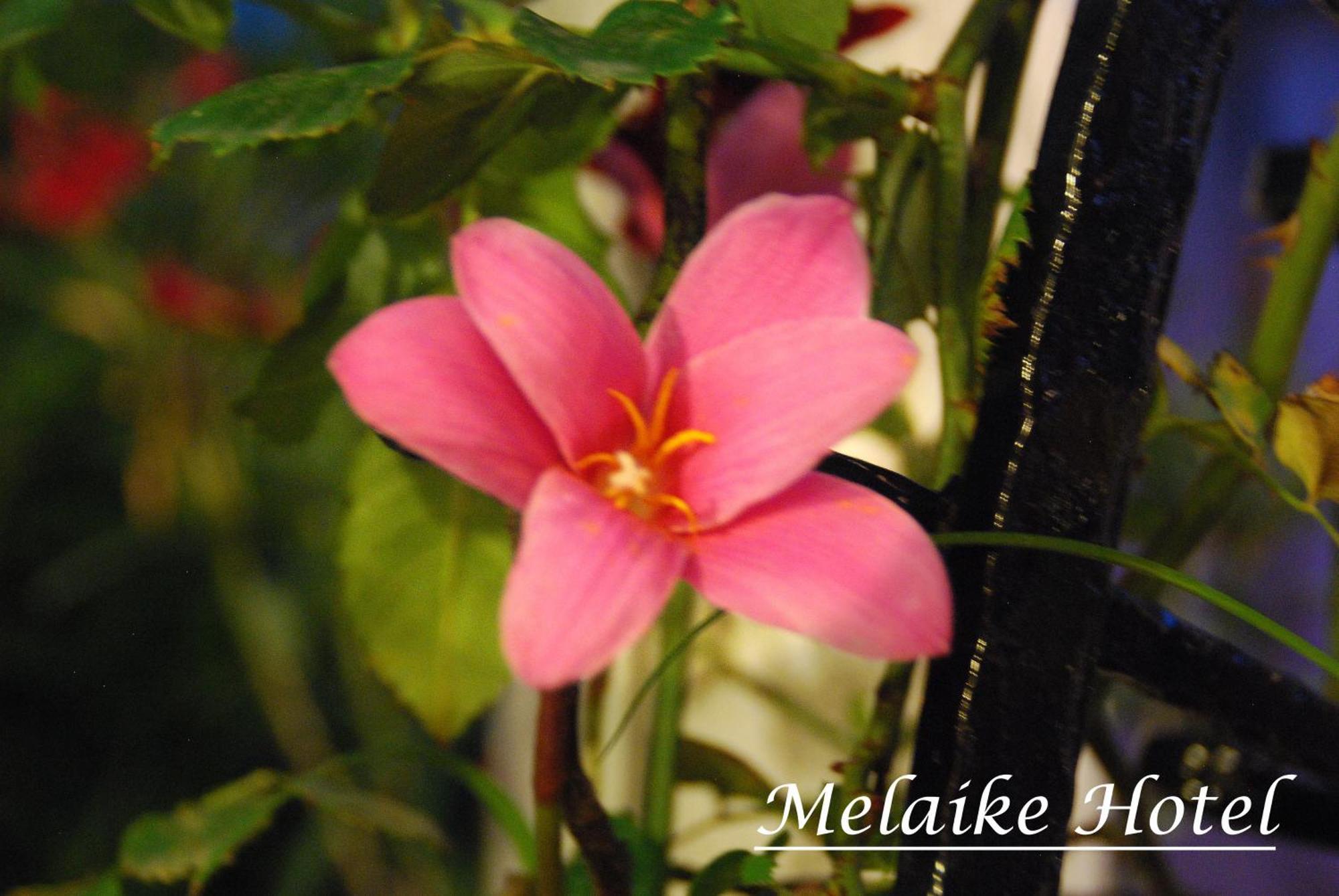 Melaike Hotel Foca Exterior photo